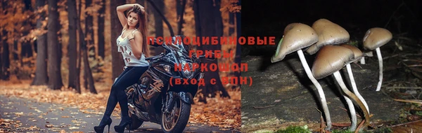 гашишное масло Медвежьегорск