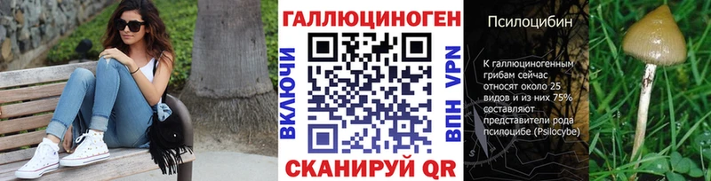 Псилоцибиновые грибы прущие грибы  как найти   Кемерово 