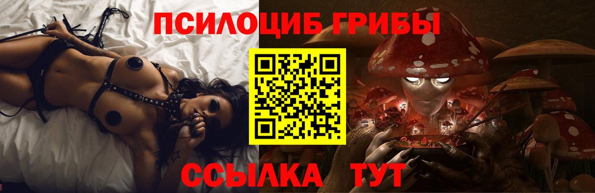 Кемерово  Галлюциногенные грибы ЛСД  Вход с VPN 