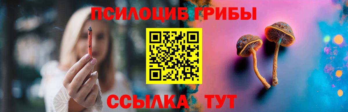 Псилоцибиновые грибы GOLDEN TEACHER Кемерово